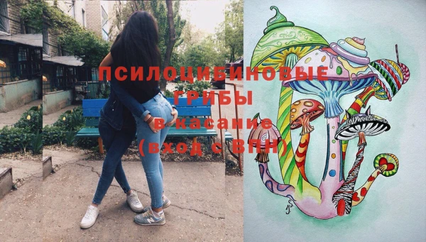 мет Инсар
