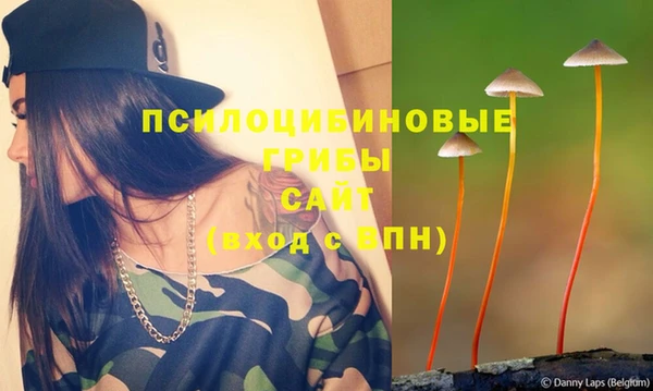 герыч Инта