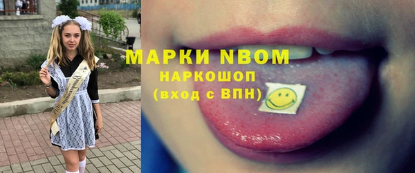 мет Инсар