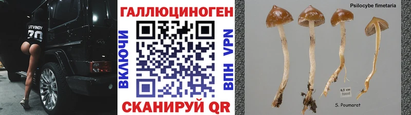 Псилоцибиновые грибы мухоморы  Купить где  Краснокаменск 